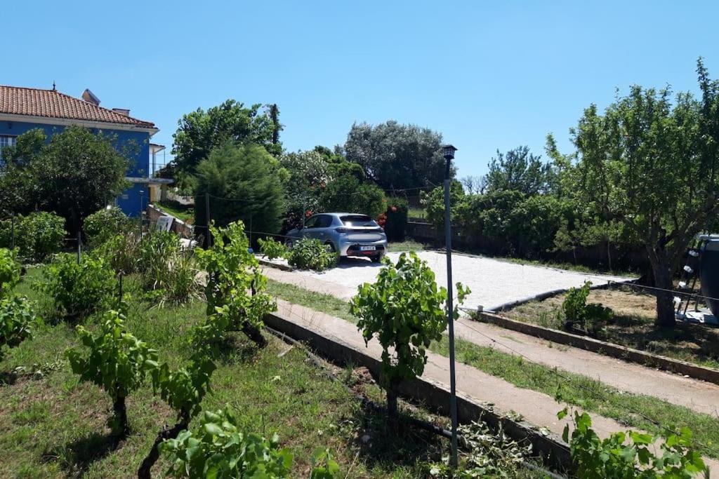 Casa Azul Tomar Prive Vakantiehuis المظهر الخارجي الصورة