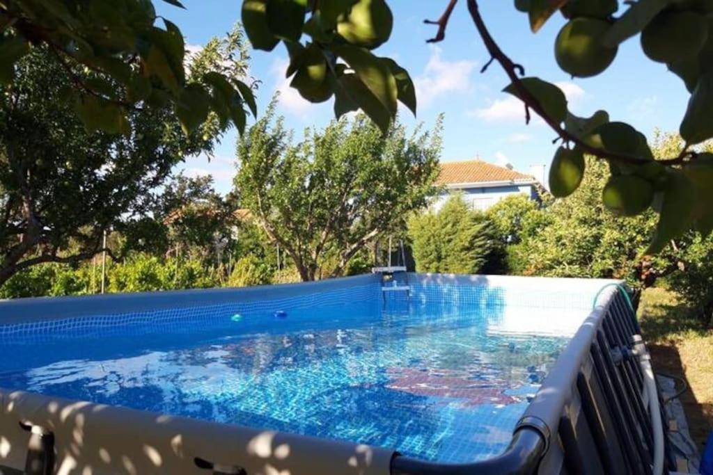 Casa Azul Tomar Prive Vakantiehuis المظهر الخارجي الصورة