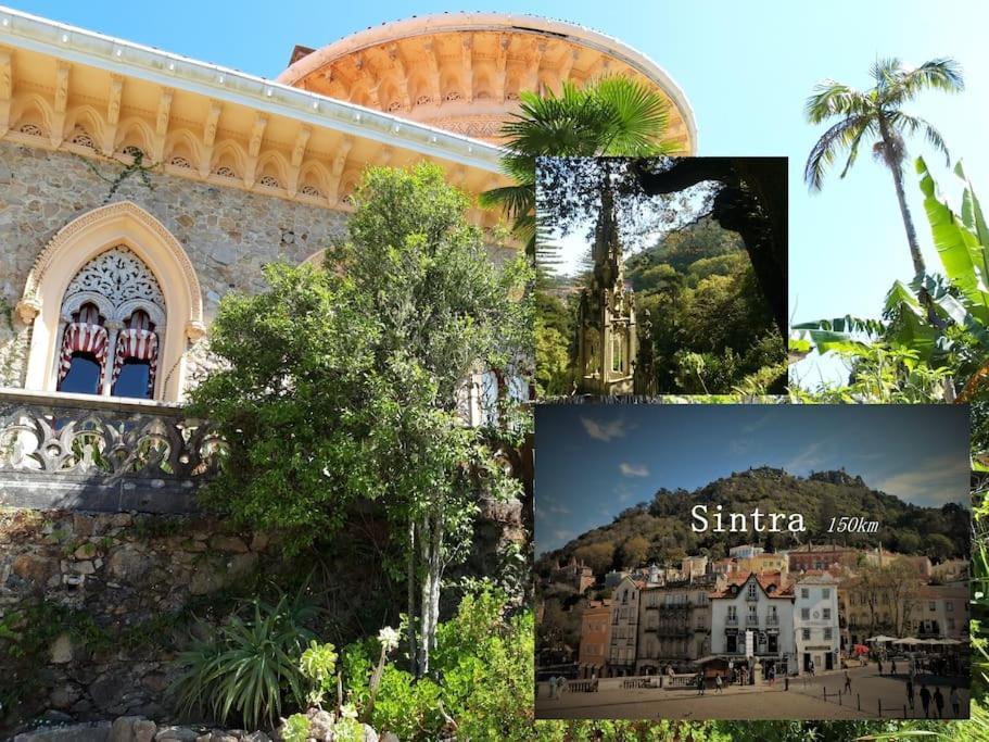 Casa Azul Tomar Prive Vakantiehuis المظهر الخارجي الصورة