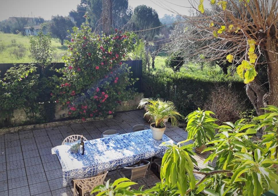 Casa Azul Tomar Prive Vakantiehuis المظهر الخارجي الصورة